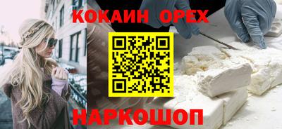 крисы Кулебаки