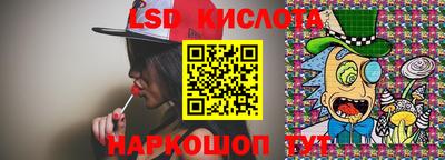 крисы Кулебаки