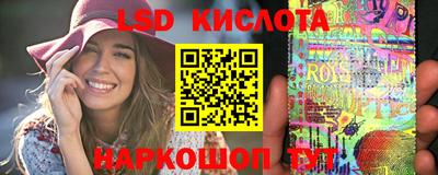 крисы Кулебаки