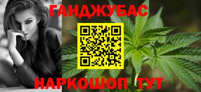 крисы Кулебаки