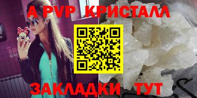 крисы Кулебаки